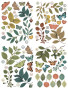 Preview: Arden Creative Studio - Stanzteile "Amber Ledgers Foliage" by Katie Pertiet Laser Cuts