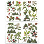 Preview: Arden Creative Studio - Stanzteile "Christmas Cheer" by Katie Pertiet Laser Cuts