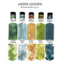 Preview: Lindys Stamp Gang - Pigmentpulver "Amber Ledgers" Magical Shaker 2.0 Set - 5x10g - by Katie Pertiet