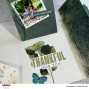 Preview: Arden Creative Studio - Designpapier "Amber Ledgers" Katie Pertiet Paper Pack 6x8 Inch - 12 Bogen