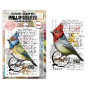 Preview: AALL and Create - Stempelset A7 "Cardinal Stare" Clear Stamps by Autour De Mwa & Co