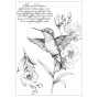Preview: Sizzix - Schablone & Stempelset "Hummingbird and Orchids" Stencil & Clear Stamps by Willow Wolfe
