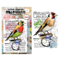 Preview: AALL and Create - Stempelset A7 "Whistling Finch" Clear Stamps by Autour De Mwa & Co