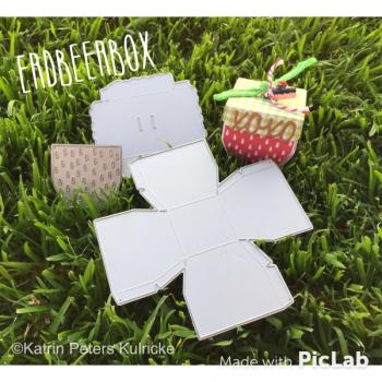 Kulricke Stanzschablone "Erdbeerbox"