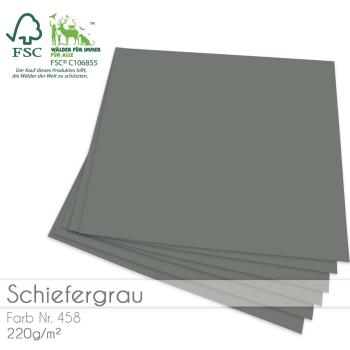 Cardstock "Premium" 12"x12" 220g/m² (30,5 x 30,5cm) in schiefergrau