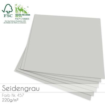 Cardstock "Premium" 12"x12" 220g/m² (30,5 x 30,5cm) in seidengrau