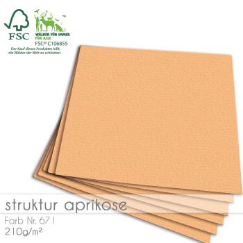 Cardstock "Struktur" 12"x12"  210g/m² (30,5 x 30,5cm) in struktur aprikose