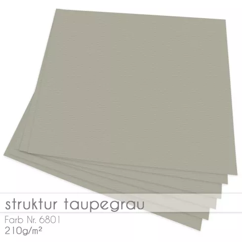 Cardstock "Struktur" 12"x12"  210g/m² (30,5 x 30,5cm) in struktur taupegrau