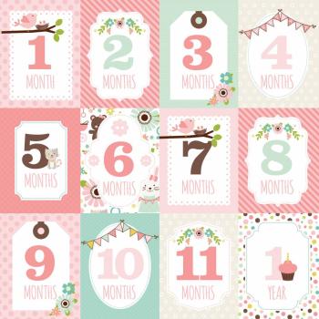 Echo Park "Sweet Baby Girl" 12x12" Collection Kit