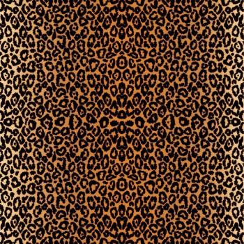 Cricut Infusible Ink Transfer Sheet Patterns Leopard (2006788)