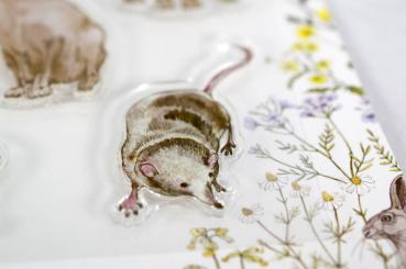 Craft Consortium Wildflower Meadow Clear Stamps Wildblumenwiese - Tiere