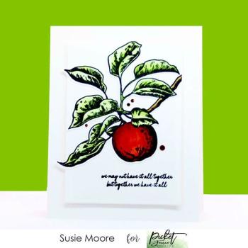 Picket Fence Studios Vintage Apple 4x4 Inch Clear Stamps 