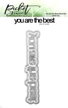 Picket Fence Studios You are the Best Word Die (PFSD-168)