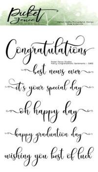 Picket Fence Studios Fancy Congratulations Sentiments 4x6 Inch Clear Stamps (S-181)