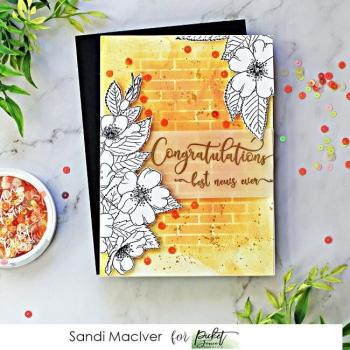 Picket Fence Studios Fancy Congratulations Sentiments 4x6 Inch Clear Stamps (S-181)