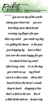 Picket Fence Studios Ways to Express Yourself 4x8 Inch Clear Stamps 