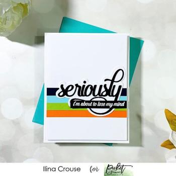 Picket Fence Studios Ways to Express Yourself 4x8 Inch Clear Stamps 