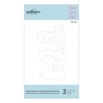 Spellbinders Die "Expressions of Spring Sentiments Etched" Stanzschablone