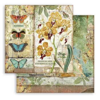 Stamperia "Amazonia" 12x12" Paper Pack - Cardstock