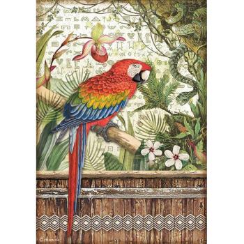 Stamperia "Amazonia Parrot" A4 Decoupage / Decopatch Papier 6 Bögen 
