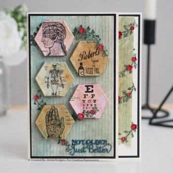 Creative Expressions - Canvas collection Hexagon