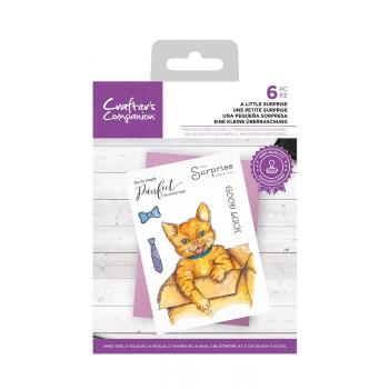 Crafters Companion - A Little Surprise - Clear Stamps