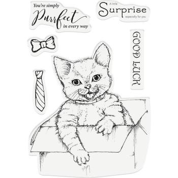 Crafters Companion - A Little Surprise  - Clear Stamps