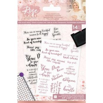 Crafters Companion - Rose Gold Sassy Sentiments - Clear Stamps