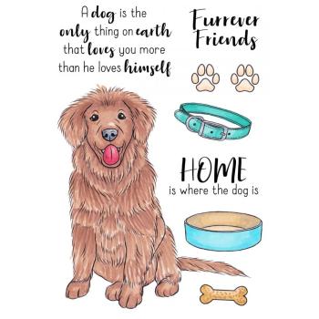 Crafters Companion - Furrever Friends  - Clear Stamps