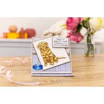 Crafters Companion - Furrever Friends  - Clear Stamps