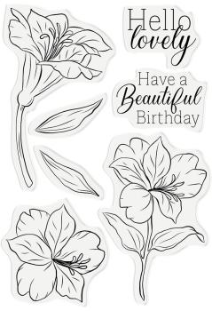 Crafters Companion - Hello Lovely - Clear Stamps