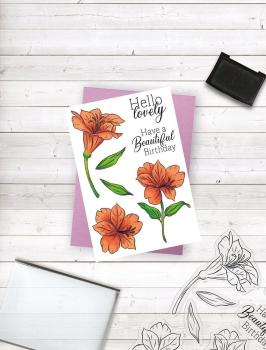 Crafters Companion - Hello Lovely - Clear Stamps