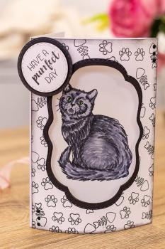 Crafters Companion - A Purrfect Day - Clear Stamps