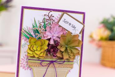 Crafters Companion - Sensational Succulents - Succulent Greetings - Clear Stamps