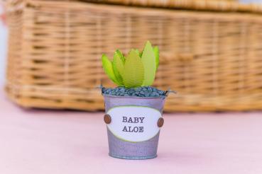 Crafters Companion - Sensational Succulents Metal Dies Baby Aloe  - Stanze