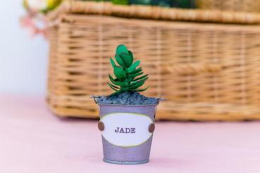 Crafters Companion - Sensational Succulents Metal Dies Jade  - Stanze
