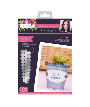 Crafters Companion - Sensational Succulents Metal Dies Lila China - Stanze