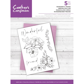 Crafters Companion - Wonderful Friend - Clear Stamps