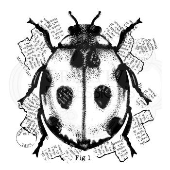 Woodware Ladybird  Clear Stamps - Stempel 