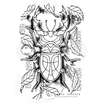 Woodware Stag Beetle Clear Stamps - Stempel 