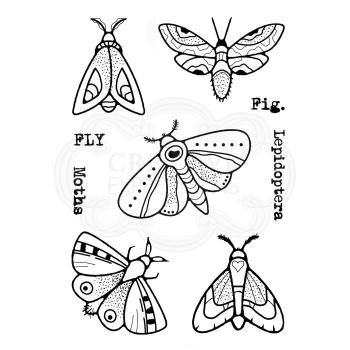 Woodware Moths  Clear Stamps - Stempel 