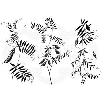 Woodware Wood Vetch Clear Stamps - Stempel 