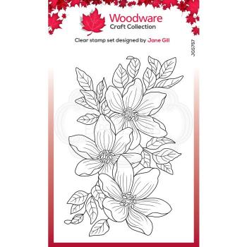 Woodware Garten-Spray  Clear Stamps - Stempel 