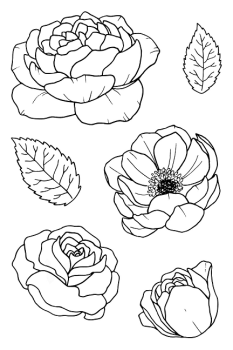 Janes Doodles " Bloom" Clear Stamp - Stempelset