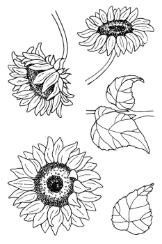 Janes Doodles " Sunflowers" Clear Stamp - Stempelset