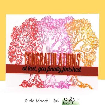 Picket Fence Studios Congratulations Word Topper  Die (PFSD-180)