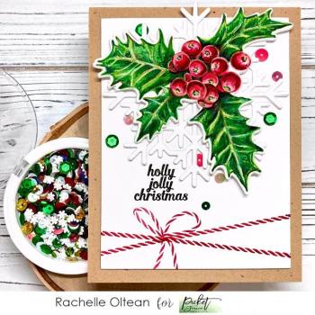 Picket Fence Studios A Snowy Season Sequin Mix  Pailetten