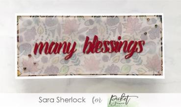 Picket Fence Studios Slim Line Oversized Many Blessings Word 4x10 Inch Die (SDCS-131)
