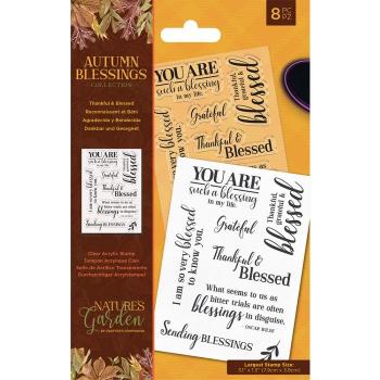Crafters Companion - Autumn Blessings Collection Thankful - Clear Stamps