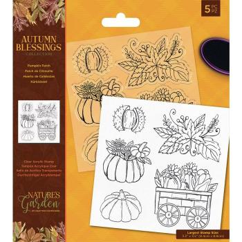 Crafters Companion - Autumn Blessings Collection - Clear Stamps